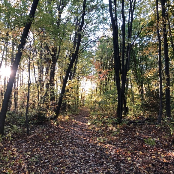 Meet your Posher, Sophie - Picture 1 of 1